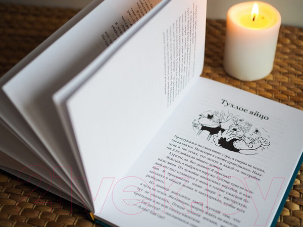 Изображение товара Книга МИФ Происшествие в курятнике. Дело расследует Хилмар Кукарексон (Аурстад Т.)