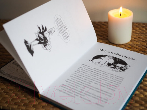 Изображение товара Книга МИФ Происшествие в курятнике. Дело расследует Хилмар Кукарексон (Аурстад Т.)