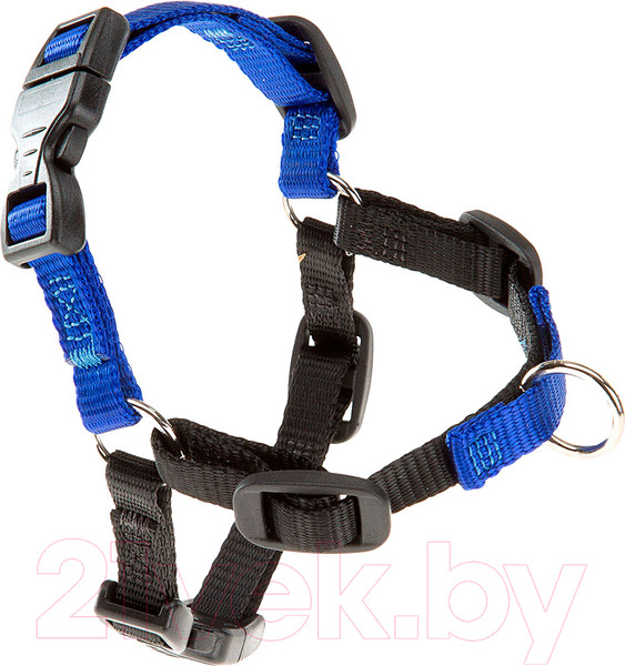 Изображение товара Шлея Ferplast Coach P / 75556125 (M, синий)