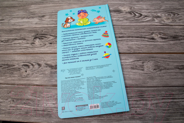 Изображение товара Развивающая книга АСТ Где же наши глазки? (Гайдель Е.А.)