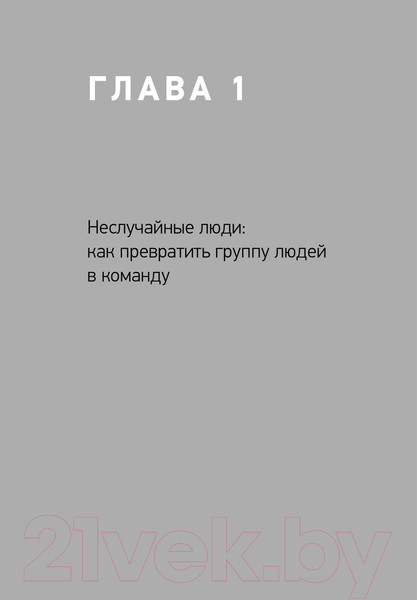 Изображение товара Книга Альпина Герой и его команда (Борисов К.)