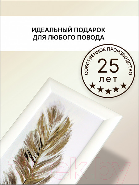 Изображение товара Картина Декарт Золотое перо-2 8Л3255 (в раме)
