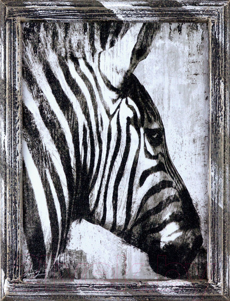 Изображение товара Картина Декарт Зебра 8Л3355 (в раме)