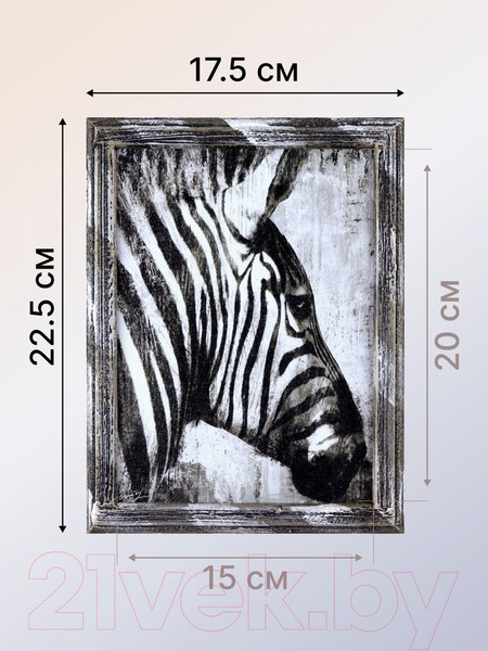 Изображение товара Картина Декарт Зебра 8Л3355 (в раме)