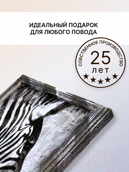 Изображение товара Картина Декарт Зебра 8Л3355 (в раме)