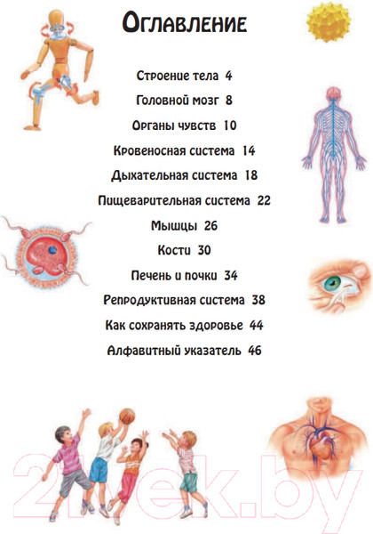 Изображение товара Энциклопедия Эксмо Тело человека (Бакеро М.)