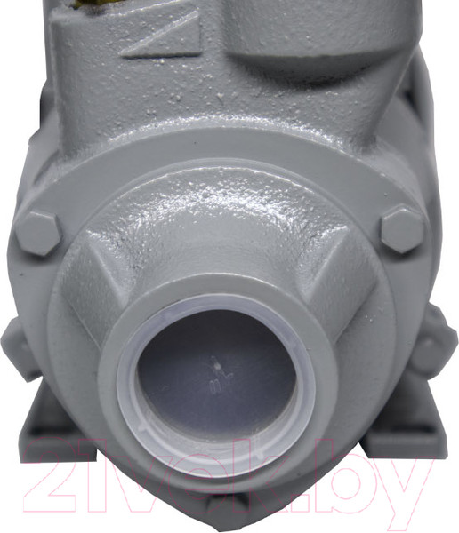 Изображение товара Поверхностный насос Ресанта ПСН-2400Ч (77/4/2)