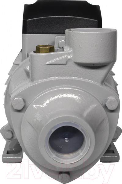 Изображение товара Поверхностный насос Ресанта ПСН-3300Ч (77/4/3)