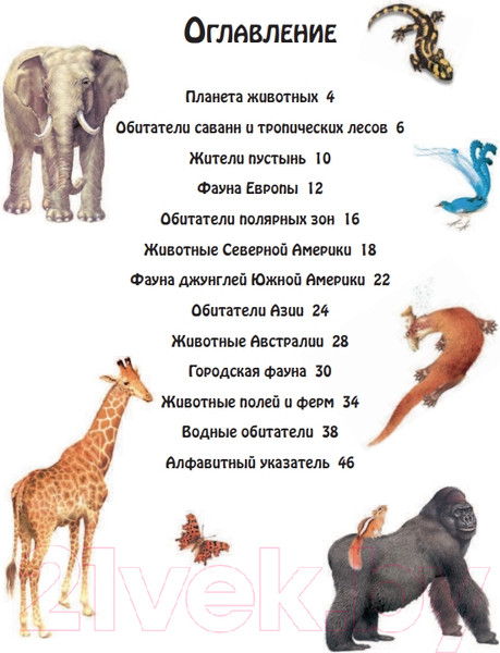 Изображение товара Энциклопедия Эксмо Животные (Домингес Н.)