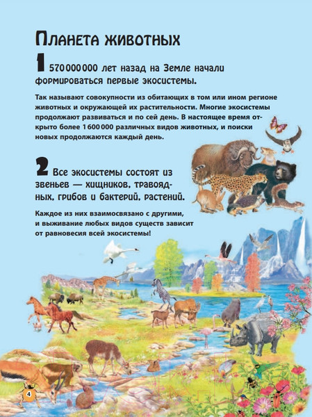 Изображение товара Энциклопедия Эксмо Животные (Домингес Н.)