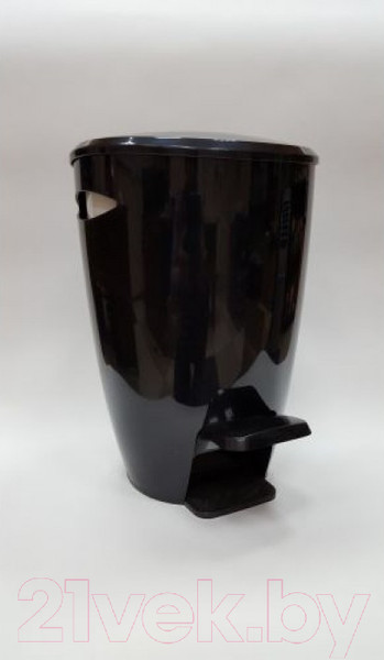 Изображение товара Мусорное ведро Primanova С педалью M-E04-21 (5л, черный/белый)