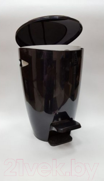 Изображение товара Мусорное ведро Primanova С педалью M-E04-21 (5л, черный/белый)