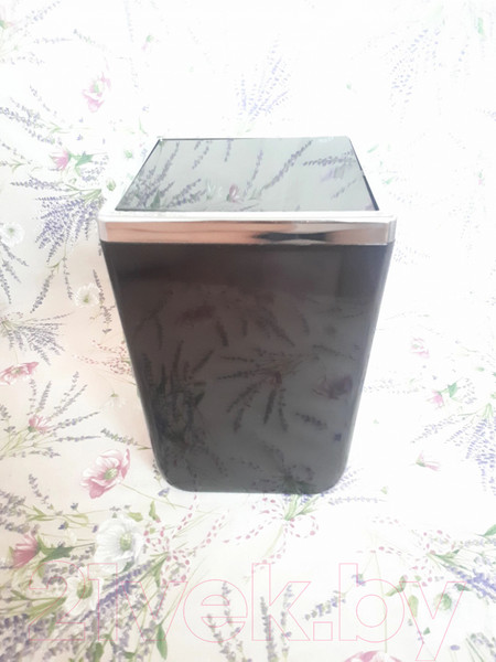 Изображение товара Мусорное ведро Primanova Toskana M-SA05-25 (6л, прозрачный/черный)