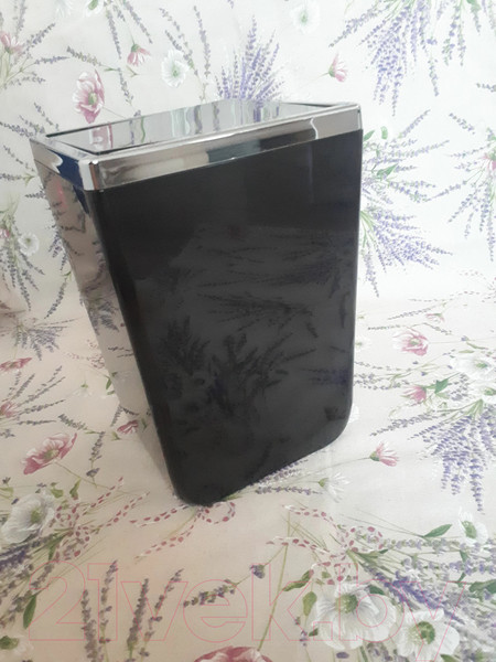 Изображение товара Мусорное ведро Primanova Toskana M-SA05-25 (6л, прозрачный/черный)