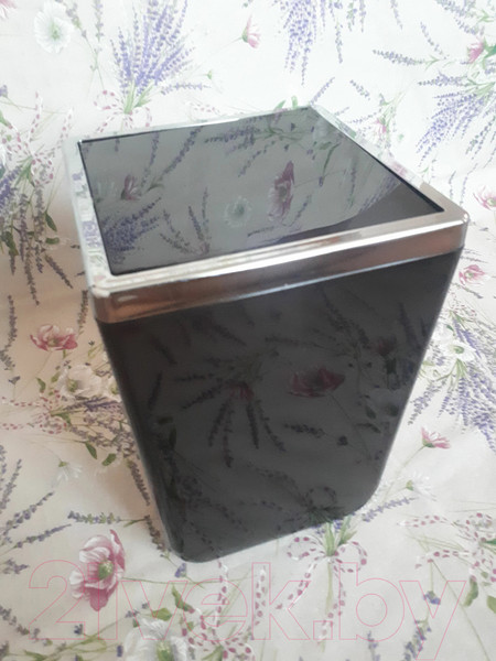 Изображение товара Мусорное ведро Primanova Toskana M-SA05-25 (6л, прозрачный/черный)