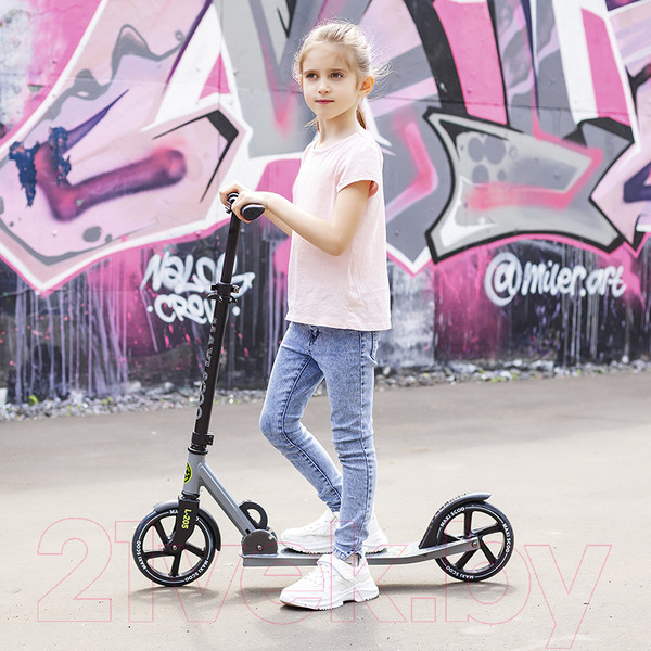 Изображение товара Самокат городской Maxiscoo L-205 / MSC-L205-G (серый)