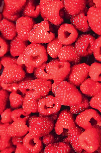 Изображение товара Книга Альпина Король рынка. Самая правильная книга о продажах (Сендеров Д.)