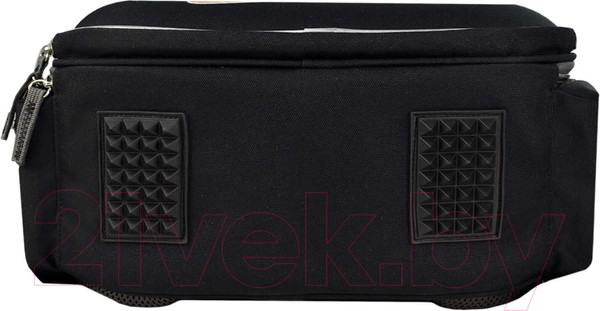 Изображение товара Школьный рюкзак Феникс+ Кибер лев / 59295 (черный)