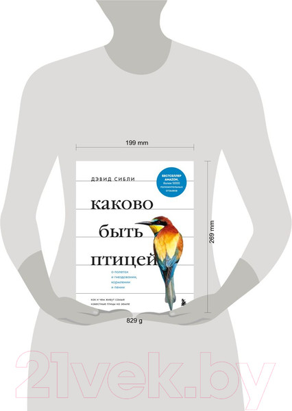 Изображение товара Книга Эксмо Каково быть птицей: о полетах и гнездовании, кормлении и пении (Сибли Д.)