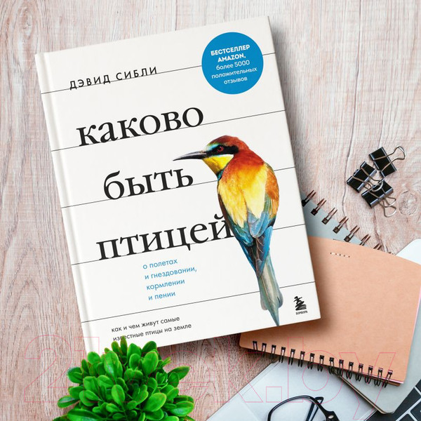 Изображение товара Книга Эксмо Каково быть птицей: о полетах и гнездовании, кормлении и пении (Сибли Д.)
