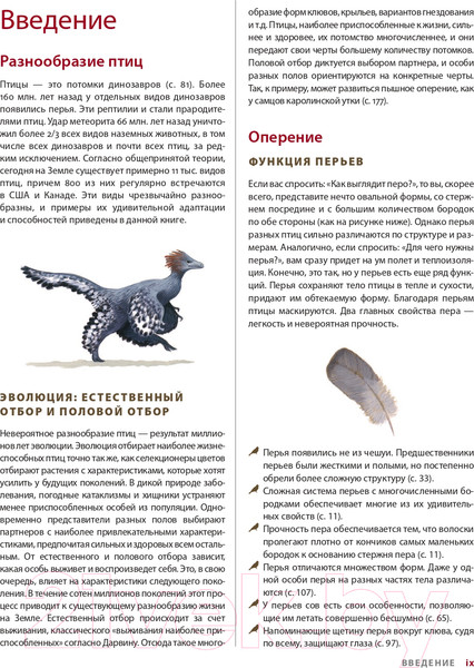 Изображение товара Книга Эксмо Каково быть птицей: о полетах и гнездовании, кормлении и пении (Сибли Д.)