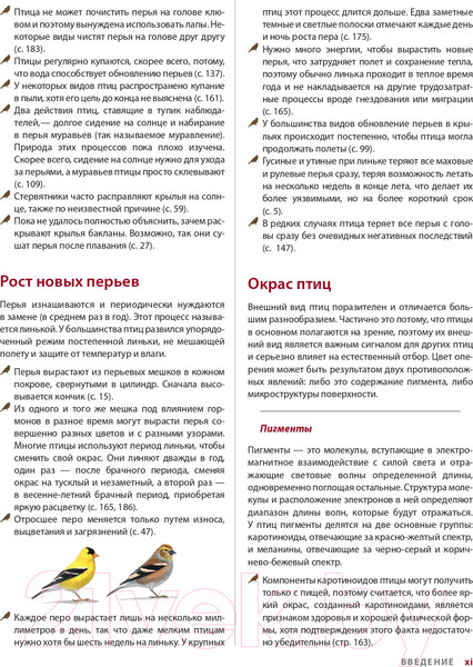Изображение товара Книга Эксмо Каково быть птицей: о полетах и гнездовании, кормлении и пении (Сибли Д.)
