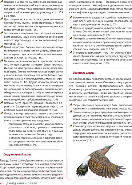 Изображение товара Книга Эксмо Каково быть птицей: о полетах и гнездовании, кормлении и пении (Сибли Д.)