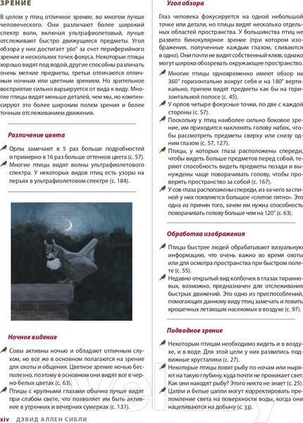 Изображение товара Книга Эксмо Каково быть птицей: о полетах и гнездовании, кормлении и пении (Сибли Д.)