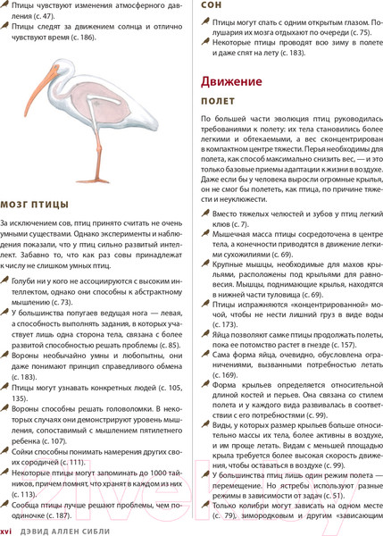 Изображение товара Книга Эксмо Каково быть птицей: о полетах и гнездовании, кормлении и пении (Сибли Д.)