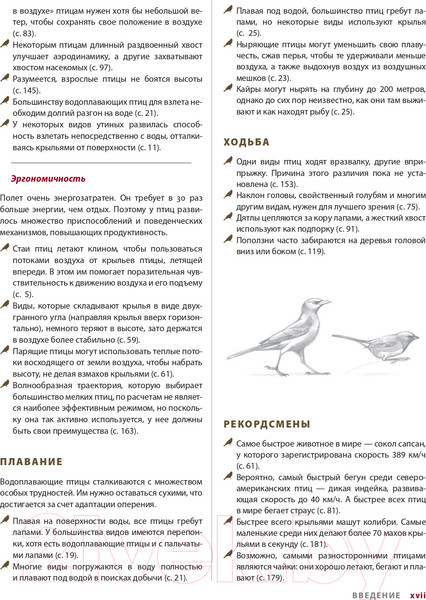 Изображение товара Книга Эксмо Каково быть птицей: о полетах и гнездовании, кормлении и пении (Сибли Д.)
