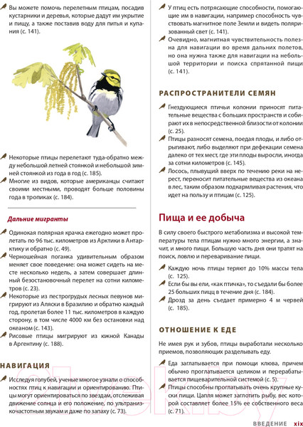 Изображение товара Книга Эксмо Каково быть птицей: о полетах и гнездовании, кормлении и пении (Сибли Д.)