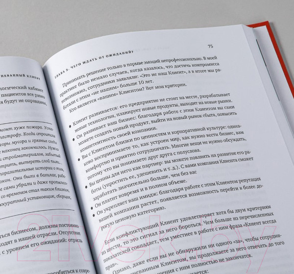 Изображение товара Книга Альпина Разгневанный Клиент, я люблю тебя (Антощенко В.)