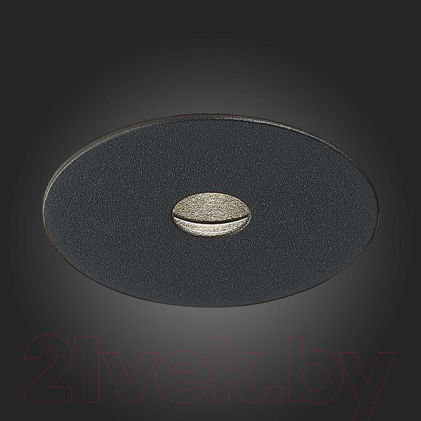 Изображение товара Точечный светильник ST Luce ST217.448.09