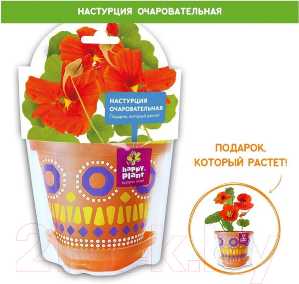 Изображение товара Набор для выращивания растений Happy Plant Настурция очаровательная / hpd-11
