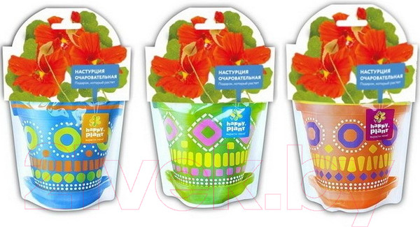 Изображение товара Набор для выращивания растений Happy Plant Настурция очаровательная / hpd-11