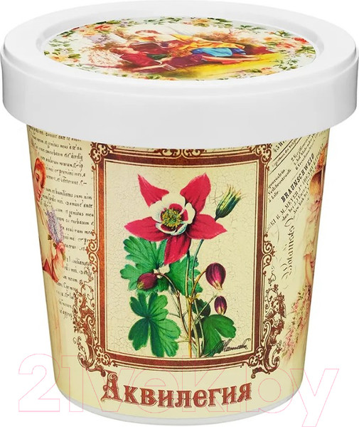Изображение товара Набор для выращивания растений Rostokvisa Аквилегия / S1498