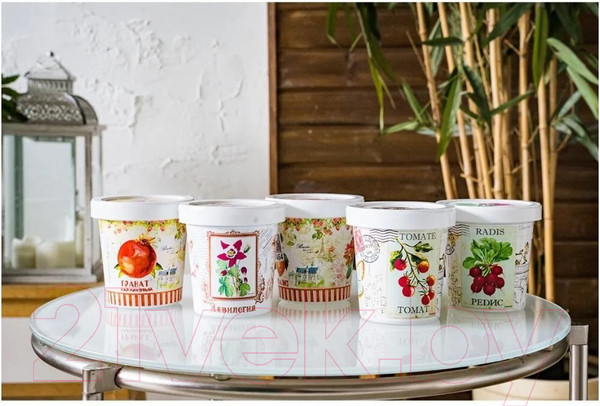 Изображение товара Набор для выращивания растений Rostokvisa Аквилегия / S1498