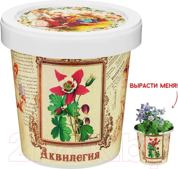Изображение товара Набор для выращивания растений Rostokvisa Аквилегия / S1498