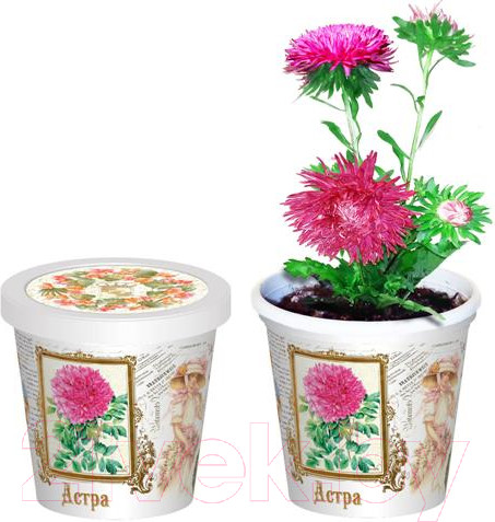Изображение товара Набор для выращивания растений Rostokvisa Астра / G1499