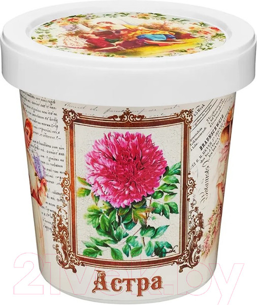 Изображение товара Набор для выращивания растений Rostokvisa Астра / G1499