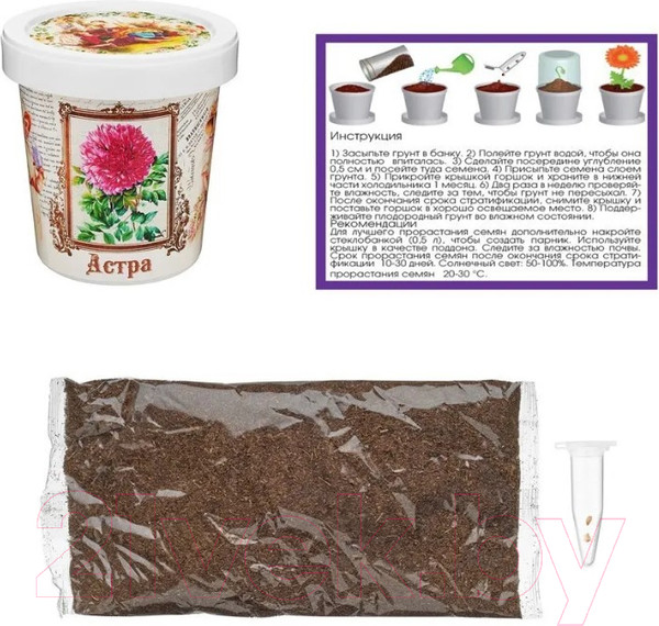 Изображение товара Набор для выращивания растений Rostokvisa Астра / G1499