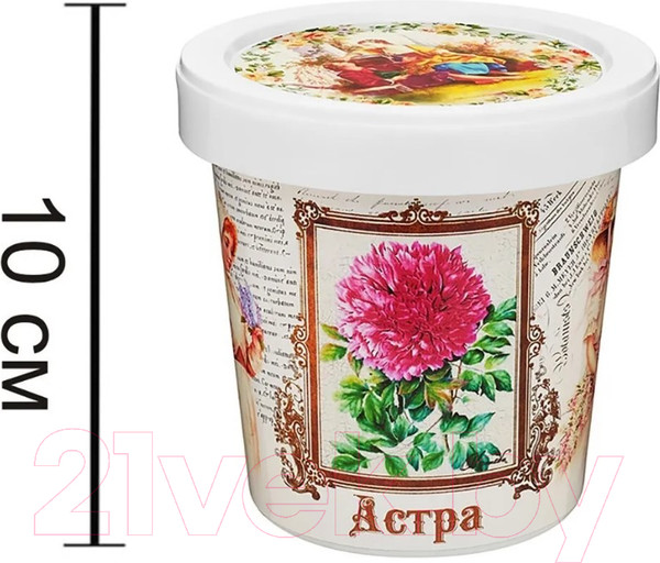 Изображение товара Набор для выращивания растений Rostokvisa Астра / G1499