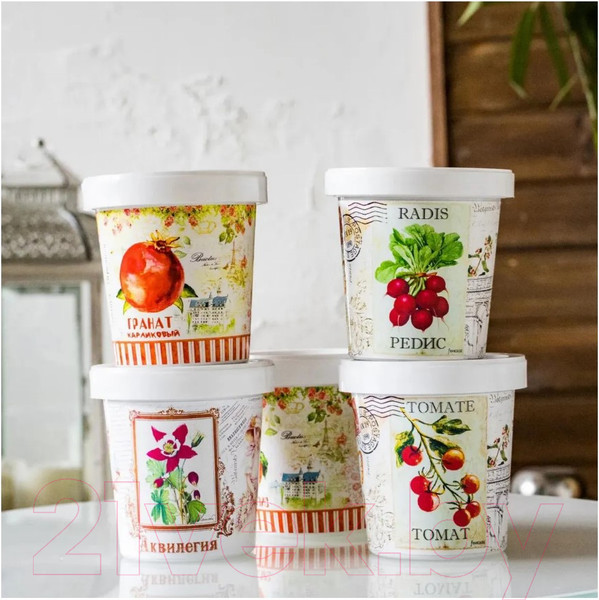 Изображение товара Набор для выращивания растений Rostokvisa Астра / G1499