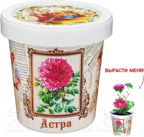 Изображение товара Набор для выращивания растений Rostokvisa Астра / G1499