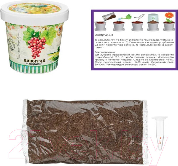 Изображение товара Набор для выращивания растений Rostokvisa Виноград амурский / 08774