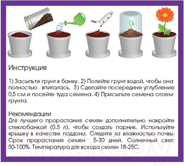 Изображение товара Набор для выращивания растений Rostokvisa Виноград амурский / 08774