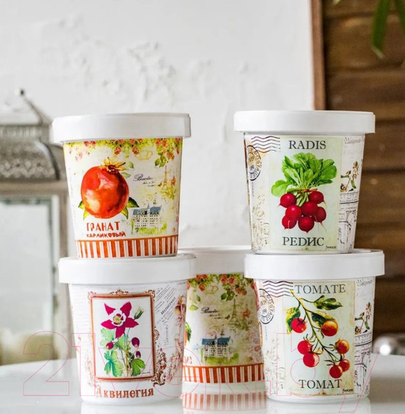 Изображение товара Набор для выращивания растений Rostokvisa Виноград амурский / 08774