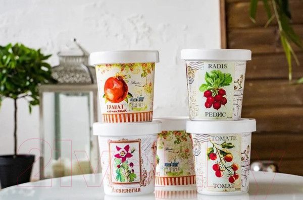 Изображение товара Набор для выращивания растений Rostokvisa Ель голубая / 88062