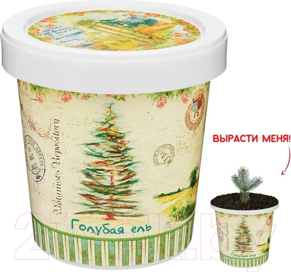 Изображение товара Набор для выращивания растений Rostokvisa Ель голубая / 88062