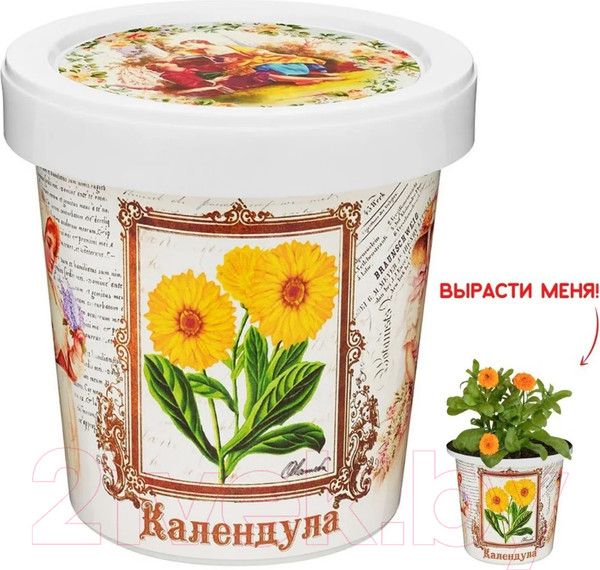 Изображение товара Набор для выращивания растений Rostokvisa Календула / O1504